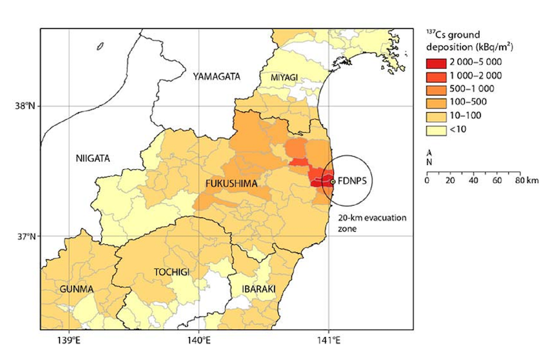 Cs-137 deposited amount evaluated by United Nations Scientific Committee on the Effects of Atomic RadiationUnited Nations Scientific Committee on the Effects of Atomic Radiation (Report by UNSCEAE, 2013)