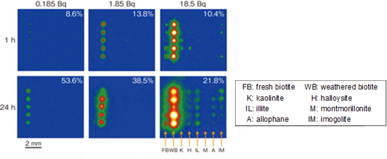 Read-out images of imaging plates with particles of various minerals onto which radioactive Cs was adsorbed.