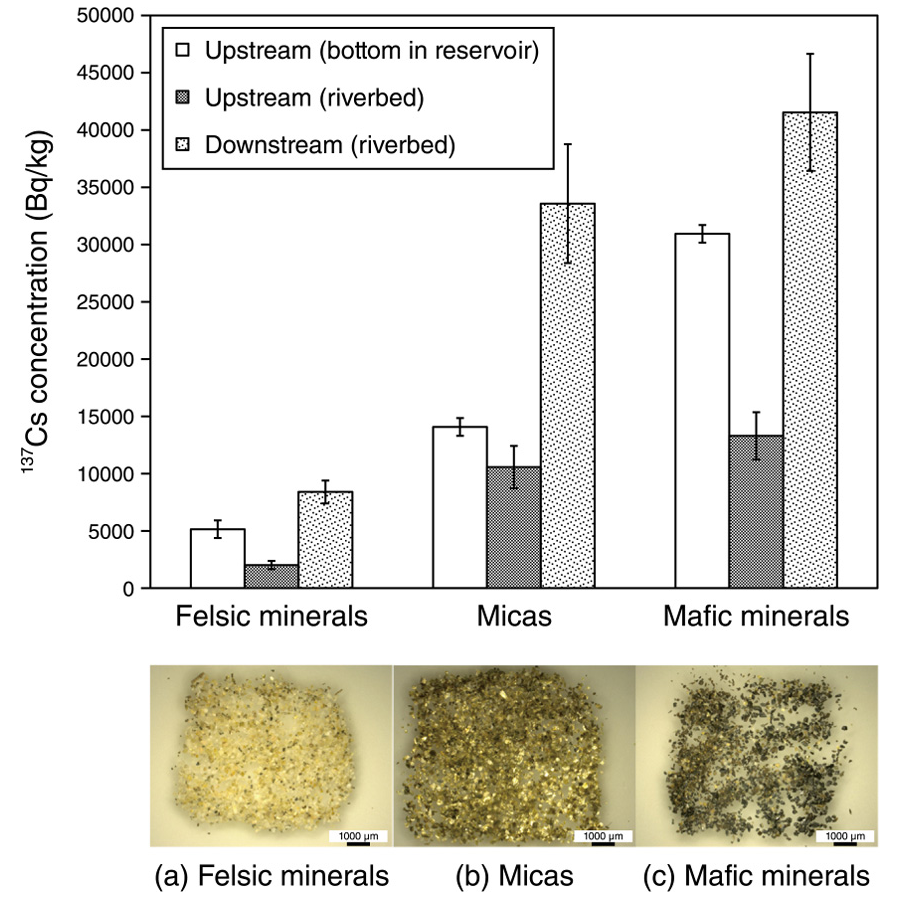 137Cs concentrations in each mineral and separated mineral obtained from the fine sand fraction at the riverbed and reservoir