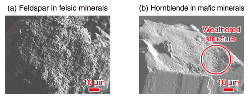 Morphological characteristic of the representative minerals hand-picked from the fine sand fraction using SEM