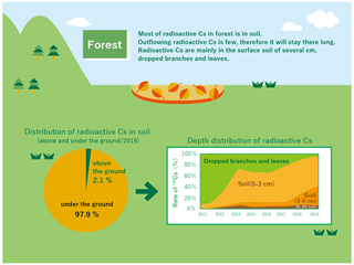 Radioactivity Dynamics in Forests