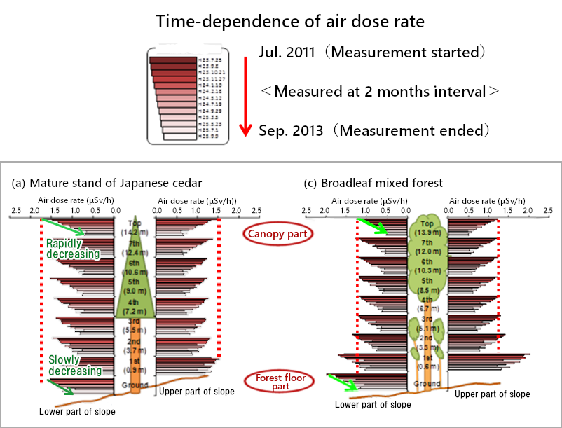 Vertical distribution of air dose rate in the forest