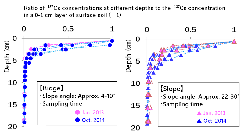 Depth distribution of 137Cs concentration in forest soil
