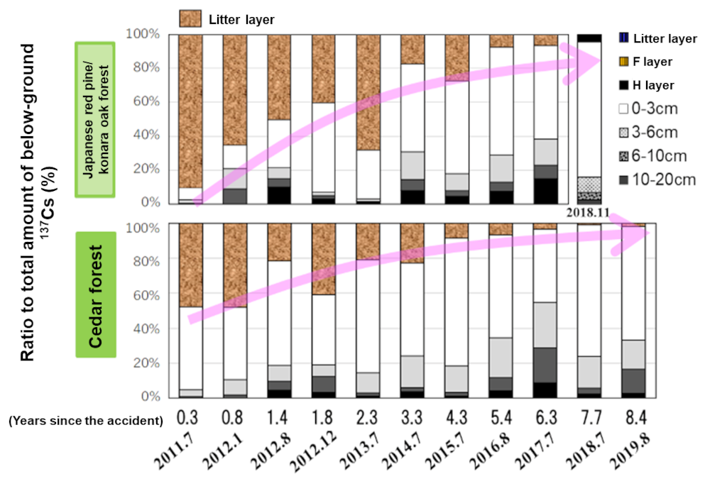 Elapsed years since the accident and the ratio to total amount of below-ground 137Cs (%)