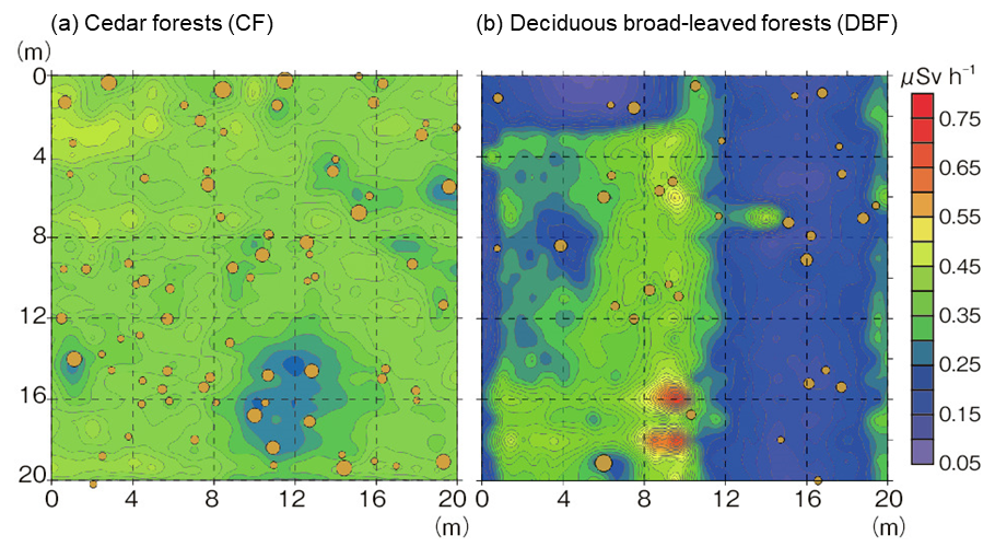 Spatial-distribution map of the γ-ray-dose rate at the forest ground surface in a 20 m × 20 m plot