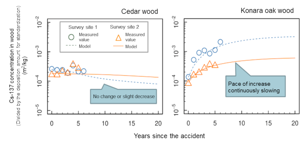 Predicted Cs-137 concentrations in cedar wood (left) and konara oak wood (right)