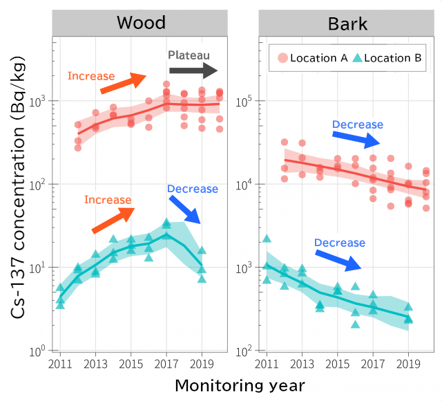 Change in radioactive cesium (Cs-137) concentrations in wood and bark over time (examples: 2 locations with konara oak samples)