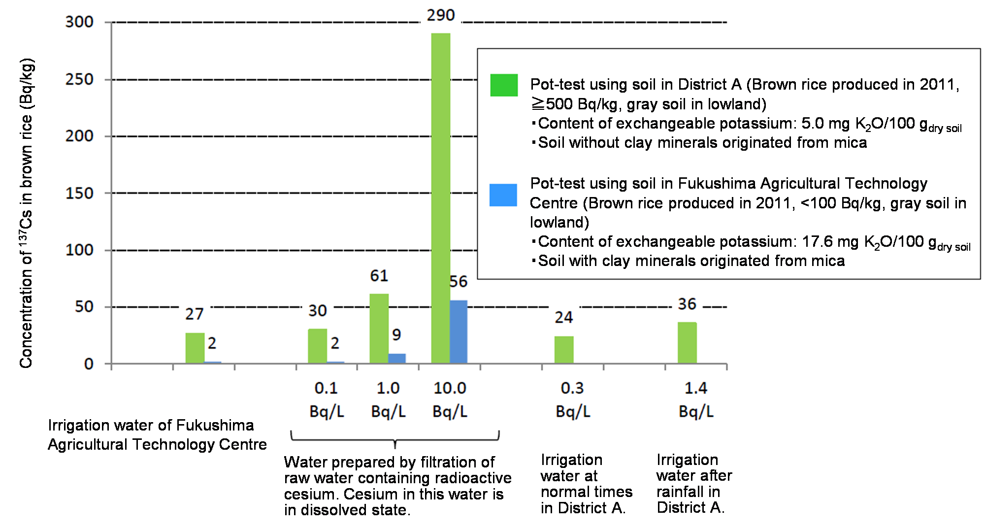 Effect of radioactive cesium in surface water of paddy field on brown rice