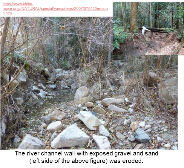 Soil deposition and erosion of river channel walls