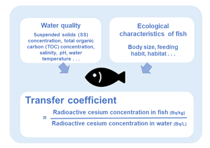 Fig. 2. Transfer coefficient to freshwater fish and factors affecting the transfer coefficient