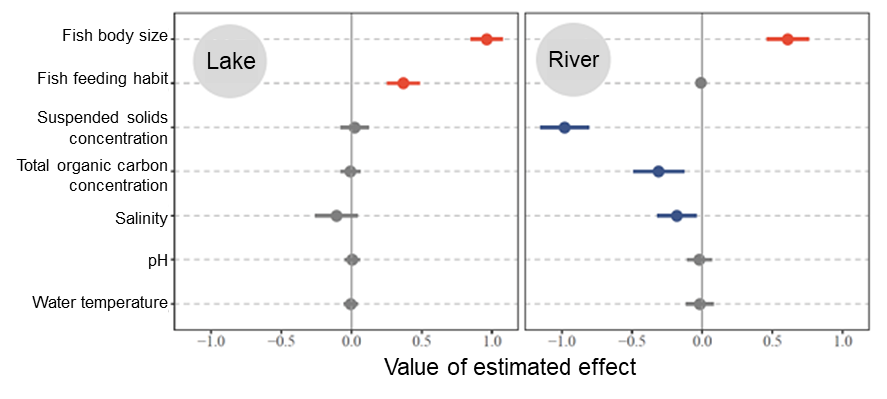 Fish body size, trophic level, and radioactive Cs concentration