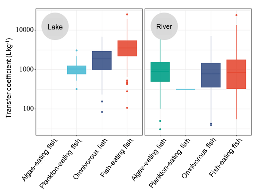 Radioactive cesium transfer coefficients for freshwater fish in lakes and rivers