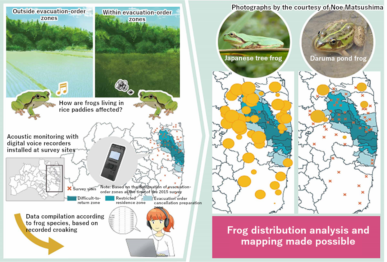 Overview of the acoustic monitoring survey of frogs