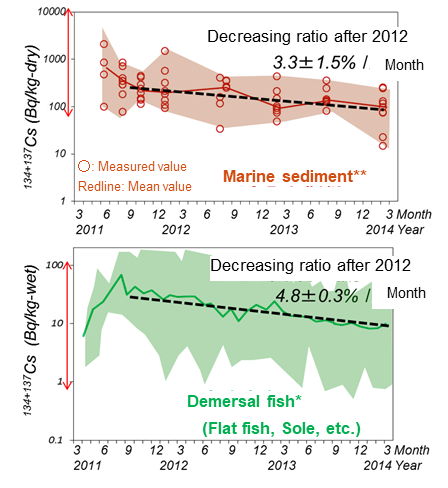 Time dependencies of radioactive cesium concentration in marine sediment and demersal fish