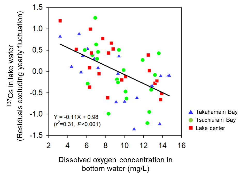 Relationship between dissolved 137Cs concentration in lake water and dissolved oxygen concentration in bottom water at three points in Lake Kasumigaura