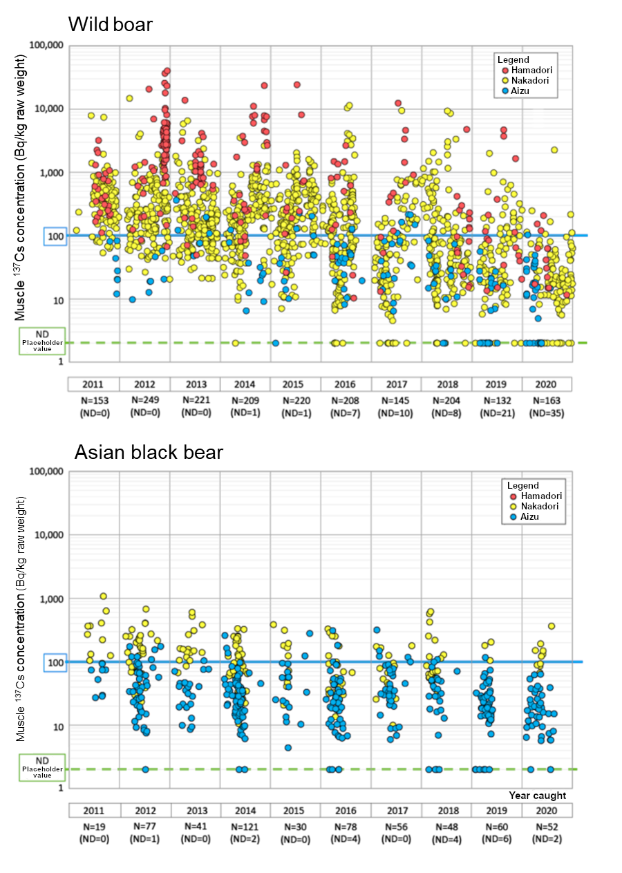 Temporal change in muscle 137Cs concentrations in wild boar and Asian black bear