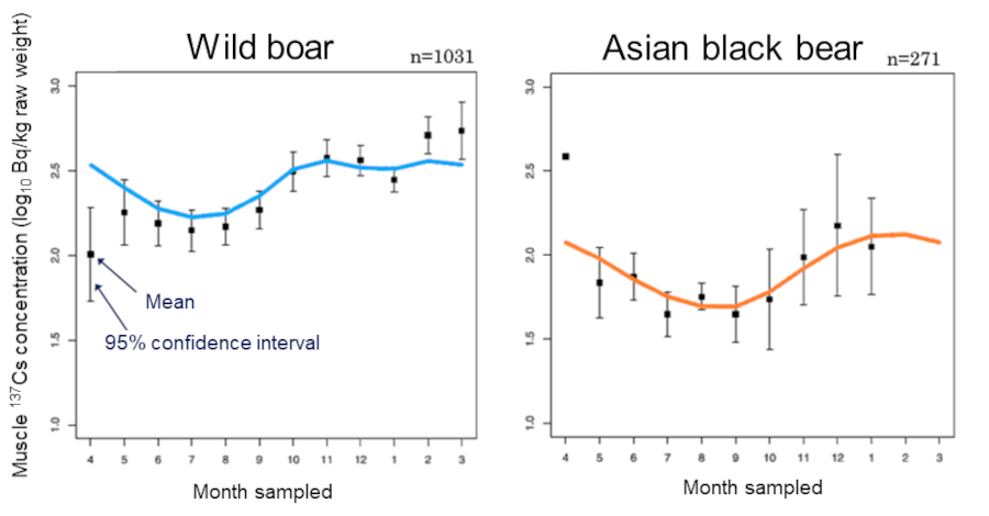 Seasonal variation in muscle 137Cs concentrations in wild boar and Asian black bear