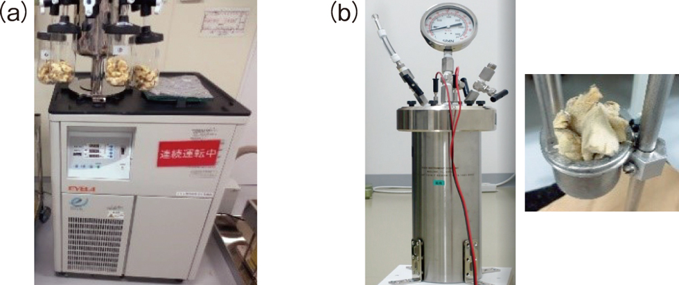 (a) Freeze dryer and (b) rapid combustion vessel