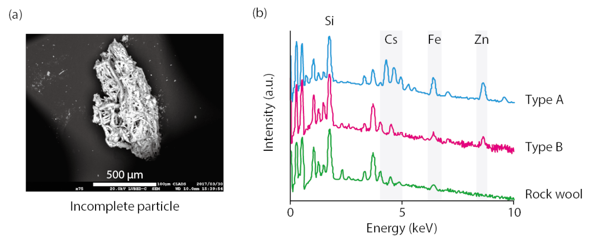 Intermediate type-B particles and the results of energy-dispersive X-ray spectrometry (EDS)
