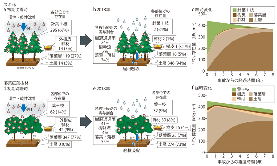 森林における放射性セシウムの移行状況と分布の経時変化