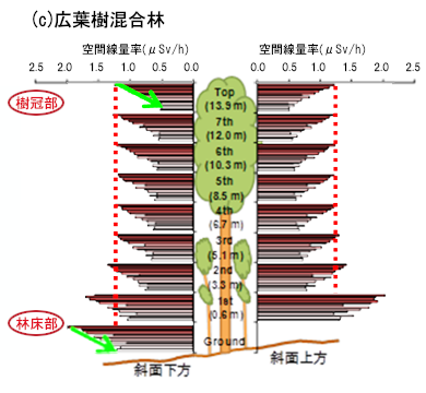 森林内における空間線量率の垂直分布-c