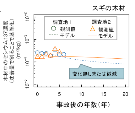 スギの木材中のセシウム137濃度の予測結果