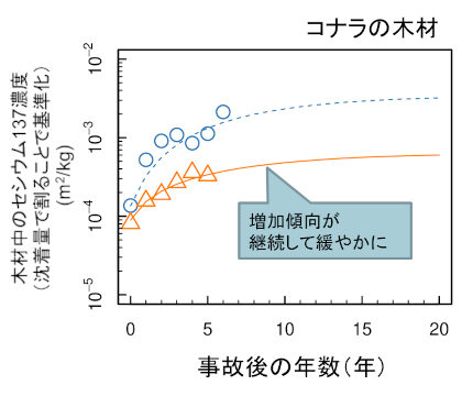 コナラの木材中のセシウム137濃度の予測結果