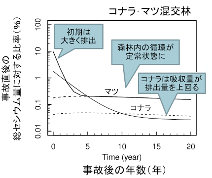 コナラ･マツにおけるセシウムの移動量のシミュレーション推定結果