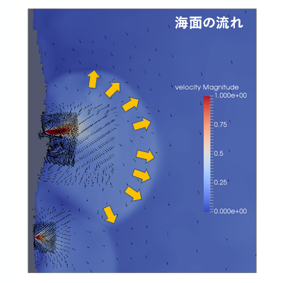 2シミュレーションにより評価した2015年9月の台風通過時のセシウム137の堆積