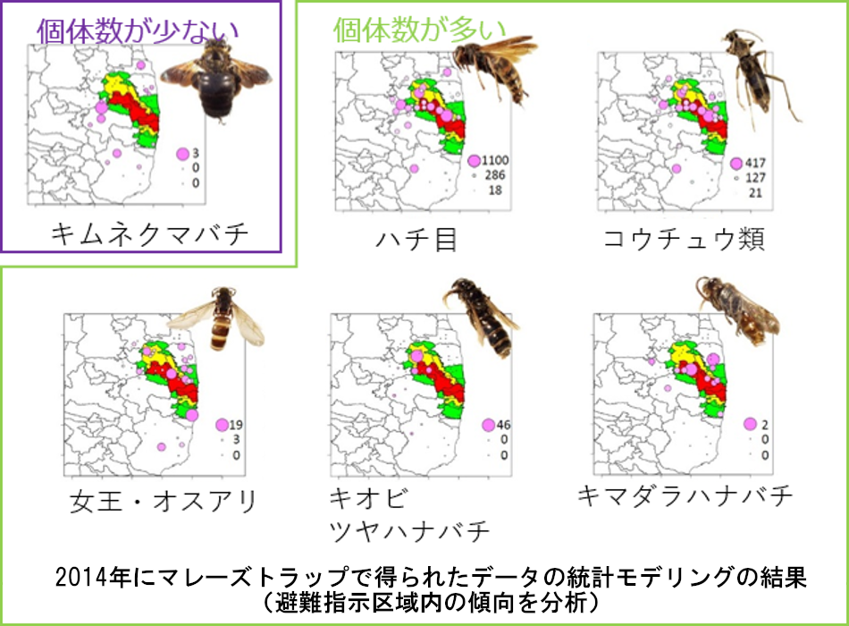 トラップによる昆虫の採集個体数