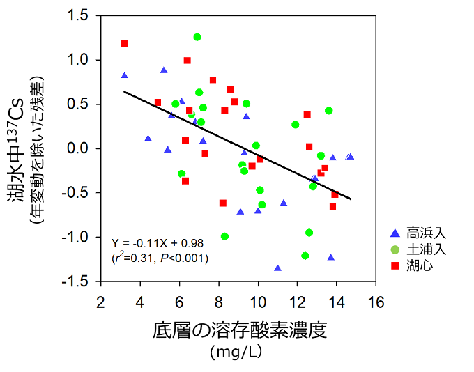 霞ヶ浦3地点における湖水中の溶存態放射性セシウム濃度と底層の溶存酸素濃度の関係