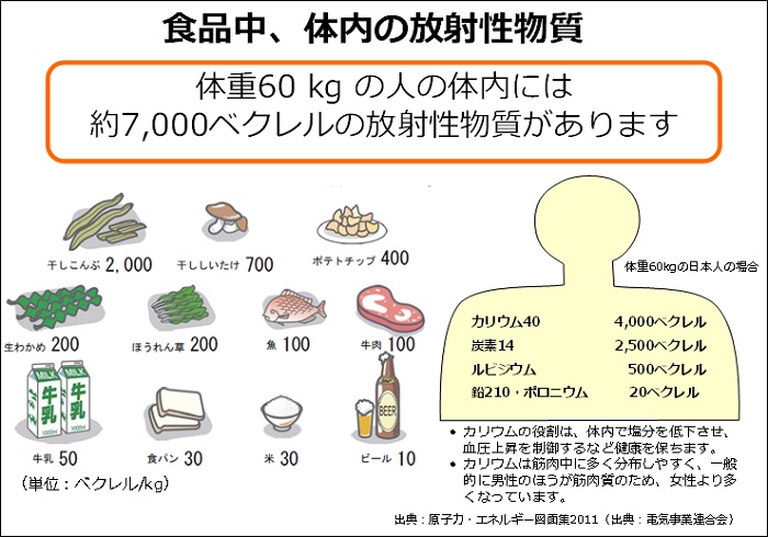 食品中,体内の放射性物質