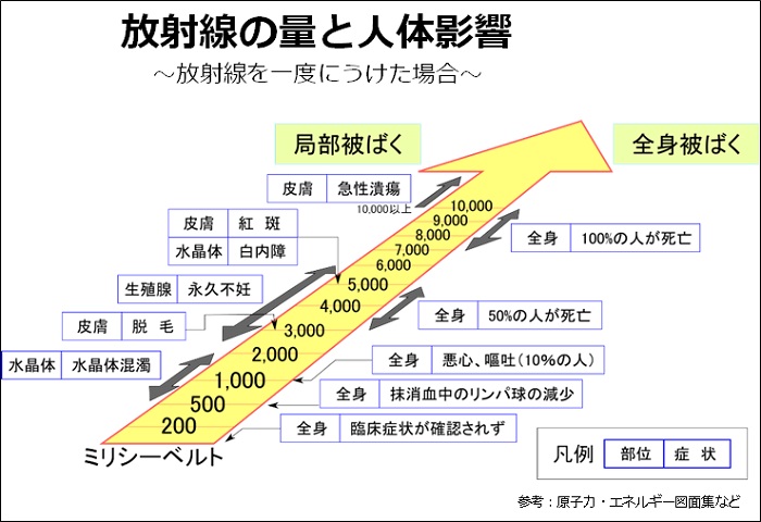 放射線の量と人体影響