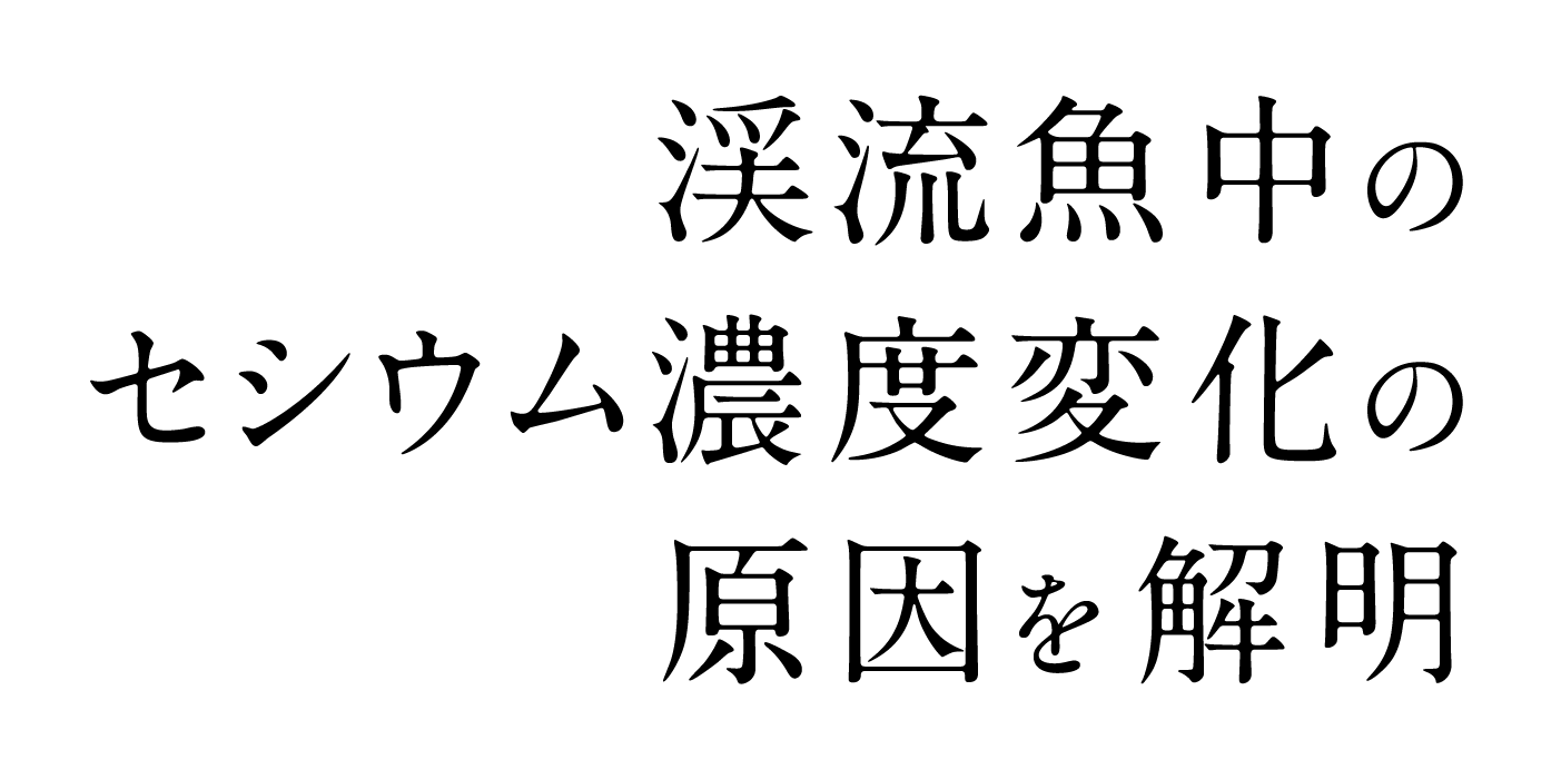 渓流魚中のセシウム濃度変化の原因を解明